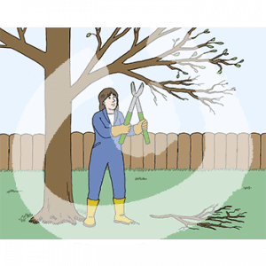 Eine Person in blauem Overall und Gummistiefel schneidet mit einer Astschere Äste von einem Baum.