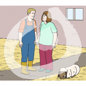 Ein Mann in Latzhose und Gummistiefeln hält die Hand einer Frau. Sie stehen in einem Stall mit Stroh. Vor ihnen liegt ein Schaf.