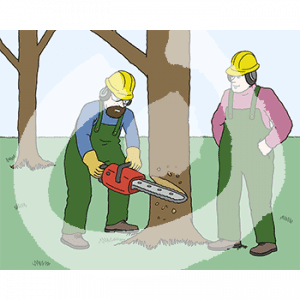 Zwei Personen in Latzhosen, Schutzhelmen und Ohrenschutz stehen neben einem Baum. Eine Person trägt ebenfalls eine Schutzbrille und Handschuhe und hält eine Kettensäge an den Stamm.