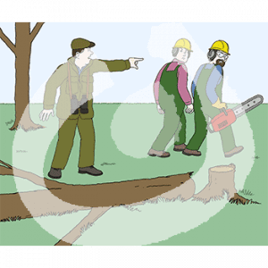 Eine Person in grüner Kleidung, Schiebermütze und mit Fernglas zeigt auf zwei Personen in Latzhosen, Schutzhelmen und Ohrenschutz die mit einer Kettensäge von einem umgefallenen Baum weggehen.