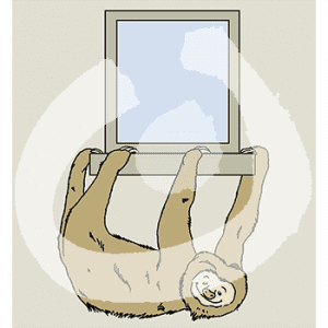 Ein Faultier hängt an allen vier Pfoten an einem Fenstersims.