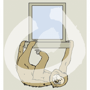 Ein Faultier hängt an drei Pfoten an einem Fenstersims.