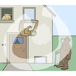 Ein Bär mit Monokel und Gehstock guckt zu einem Haus. An einem Fenstersims hängt ein Faultier. Aus einem Fenster guckt ein Hund.