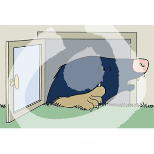 Ein Maulwurf steckt den Kopf aus einem Kellerfenster und hebt eine Kralle.