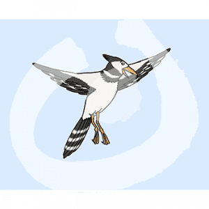 Ein Vogel in der Luft.