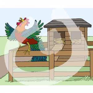 Ein Hahn sitzt auf dem Zaun einer Hühnerhauses.