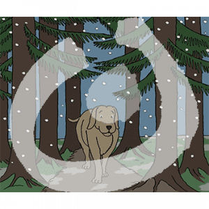 Ein Hund läuft im Dunkeln durch einen Wald. Es schneit.