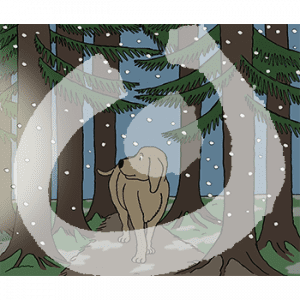 Ein Hund läuft im Dunkeln durch einen Wald und schaut zur Seite. Es schneit.
