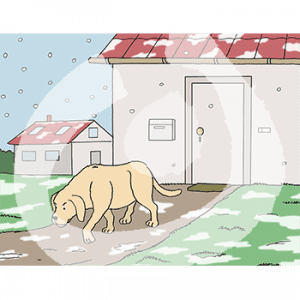 Ein wütender Hund geht durch den Schnee von einem Haus weg.