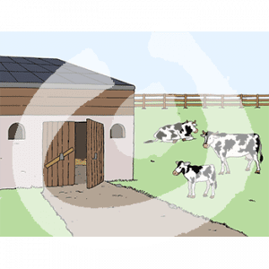 Ein Gebäude mit Holztüren. Daneben ist eine eingezäunte Grünfläche mit Kühen.