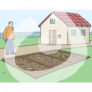 Ein Mann steht vor einem Bett mit verwelktem Gemüse. Im Hintergrund steht ein Haus und das Wasser.