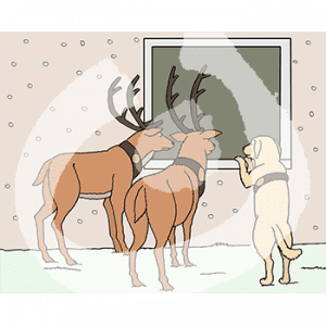 Zwei Rentiere und ein Hund stehen im Schnee und gucken durch ein Fenster.