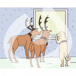 Zwei Rentiere und ein Hund stehen im Schnee und gucken durch ein Fenster.