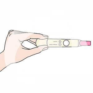 Eine Hand hält einen Schwangerschaftstest mit den Beschriftungen + und -.