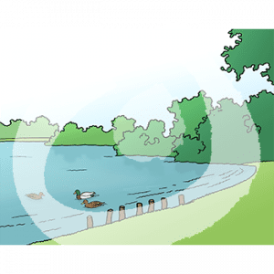 Ein See mit Enten an einem begrünten Ufer. Drumherum sind Büsche und Bäume.