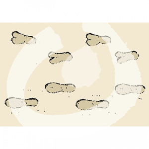 Fußabdrücke von Menschen und Kamelen im Sand.