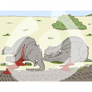 Zwei tote, erschossene Elefanten ohne Stoßzähne liegen in der Savanne.