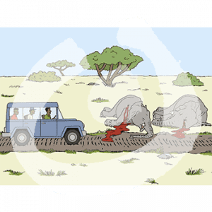 Zwei tote, erschossene Elefanten ohne Stoßzähne liegen in der Savanne. Auf dem Weg davor steht ein Auto mit Menschen.