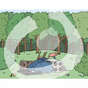 Ein Wald mit Lichtung. Darauf liegen Müllsäcke, Flaschen, ein Herd und anderer Müll.