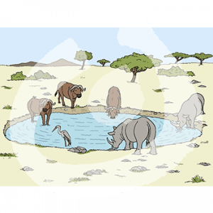 Büffel und Nashörner stehen an einer Wasserstelle in der Savanne.