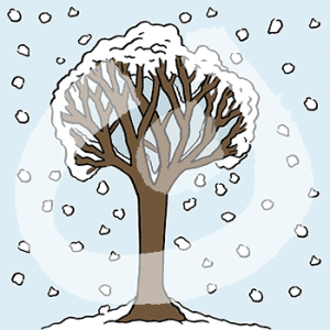 Ein kahler, schneebedeckter Baum. Es schneit.