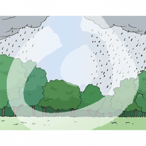 Eine Lichtung im Wald. Darüber sind graue Wolken mit Regen.