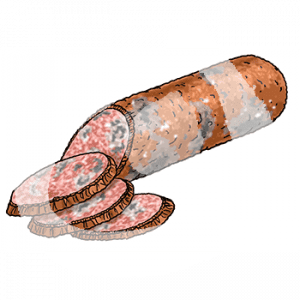 Eine verschimmelte, teilweise aufgeschnittene Wurst.