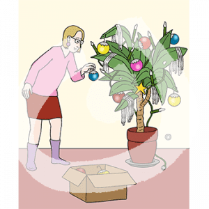 Eine Person hängt Weihnachtskugeln an eine Zimmerpalme. Daneben steht eine Kiste mit Weihnachtskugeln.