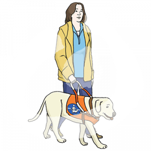 Eine Frau mit Blindenhund.