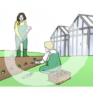 Eine Person in Latzhose, Handschuhen und Gummistiefeln. Sie hakt ein Feld. Eine andere Person in Latzhose setzt Pflanzen in die Erde. Im Hintergrund stehen Gewächshäuser.