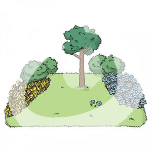 Eine Grünfläche mit Gras, Baum, Büschen und Blumen.