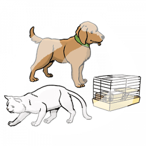 Ein Hund, eine Katze und ein kleiner Käfig.