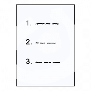 Blatt mit der Aufschrift: 1., 2. und 3.