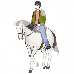 Eine Person mit Reiterhelm sitzt auf einem Pferd mit Zaumzeug und Sattel.