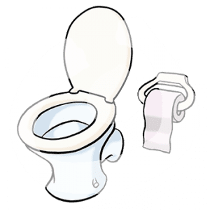 Eine Toilette, daneben ein Klopapierhalter.