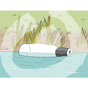 Eine leere Flasche im Wasser am Ufer.