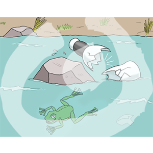 Eine kaputte Flasche an einem Stein im Wasser. Daneben ein Frosch.