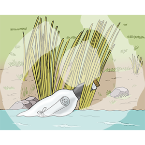 Eine Flasche mit Zettel darin im Wasser am Ufer im Schilf.