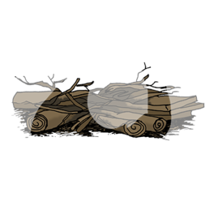 Ein Haufen mit Brettern, Stöcken und Stöckchen.