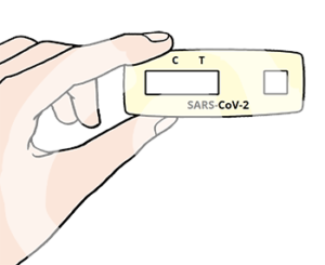 Ein Schnelltest mit den Beschriftungen C, T und SARS-CoV-2.
