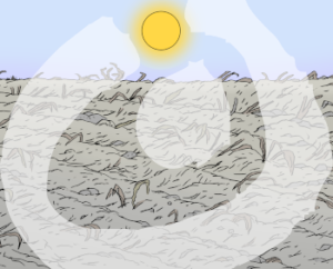 Ein staubiges Feld mit vertrockneten Pflanzen. Die Sonne scheint.